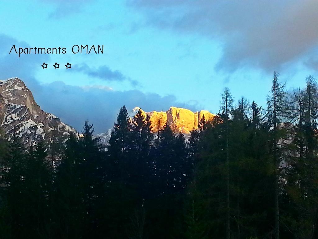 Apartments Oman クランスカゴーラ 部屋 写真